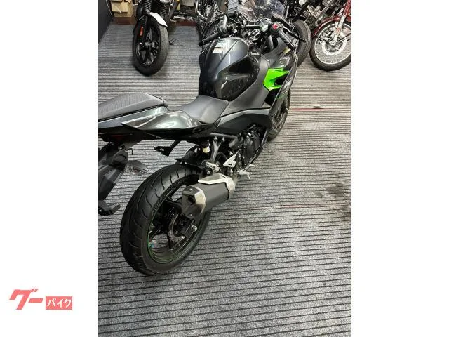 Kawasaki Ninja 250 ABS EX250Y 2 2024 — миниатюра 2