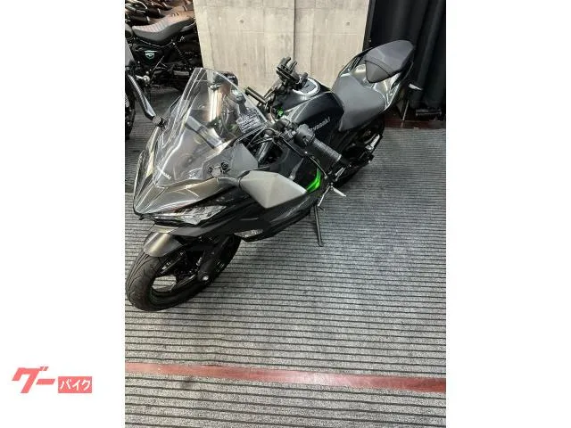 Kawasaki Ninja 250 ABS EX250Y 2 2024 — миниатюра 4