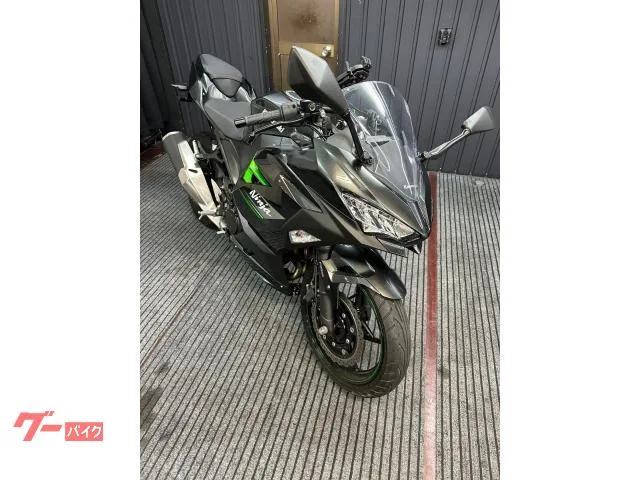 Kawasaki Ninja 250 ABS EX250Y 2 2024 — фото 1, купить с доставкой в Москву
