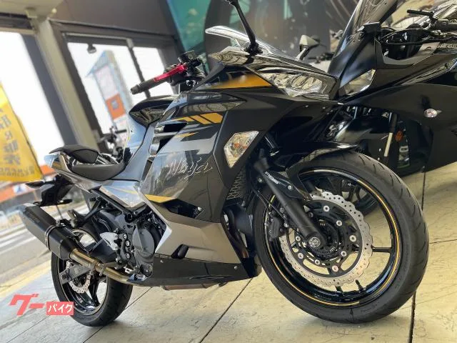 Kawasaki Ninja 400 ETC 2022 — миниатюра 2