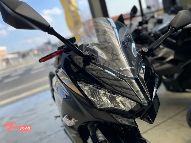 Kawasaki Ninja 400 ETC 2022 — миниатюра 3