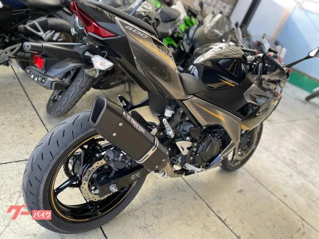 Kawasaki Ninja 400 ETC 2022 — миниатюра 4