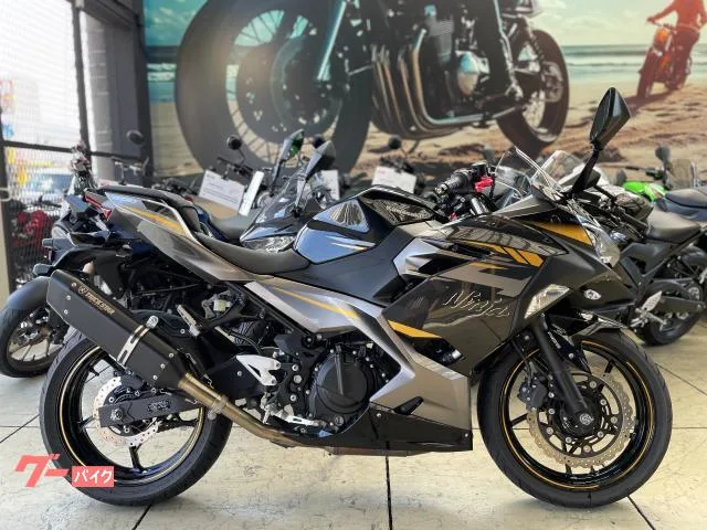 Kawasaki Ninja 400 ETC 2022 — фото 1, купить с доставкой в Москву