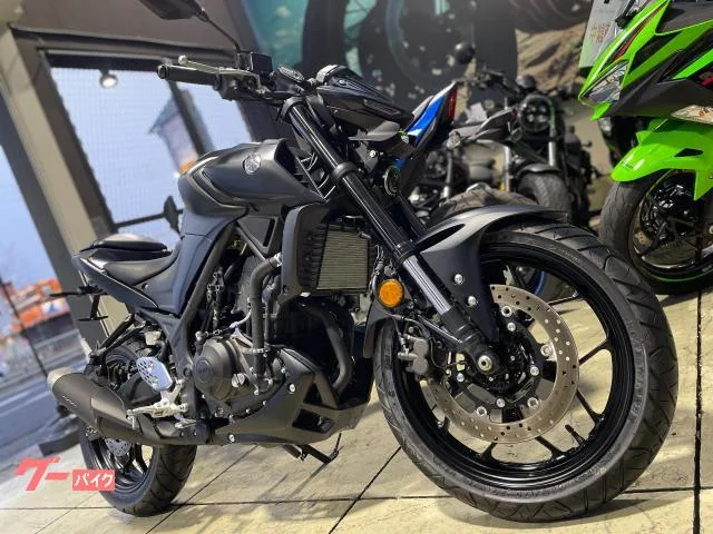 Yamaha MT-25 RG74J 2024 — миниатюра 2