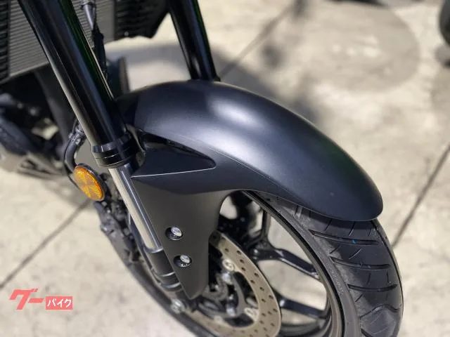 Yamaha MT-25 RG74J 2024 — миниатюра 3
