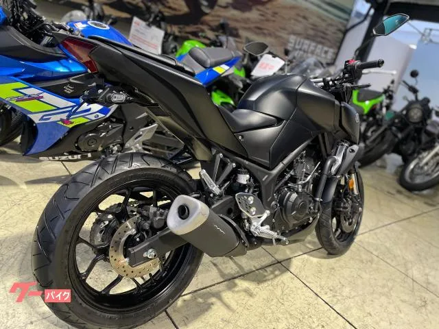 Yamaha MT-25 RG74J 2024 — миниатюра 4