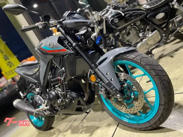 Yamaha MT-25 RG74J 2022 — миниатюра 2