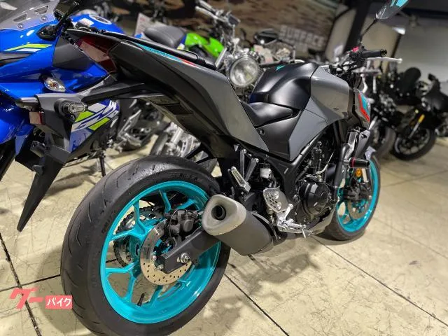 Yamaha MT-25 RG74J 2022 — миниатюра 4