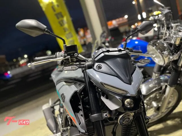 Yamaha MT-25 RG74J 2022 — миниатюра 5