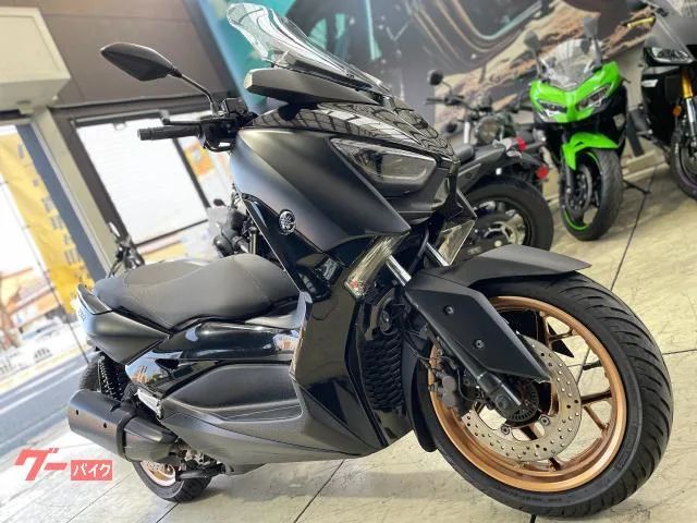 Yamaha X-MAX250 2022 — миниатюра 2