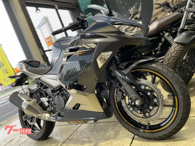 Kawasaki Ninja 250 2023 — миниатюра 2