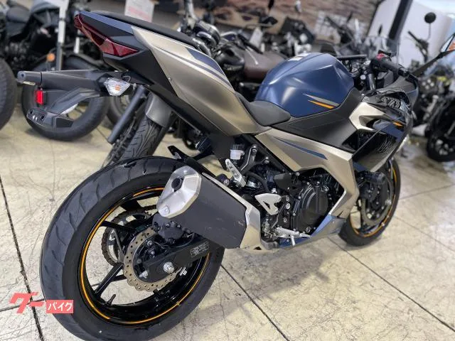 Kawasaki Ninja 250 2023 — миниатюра 4