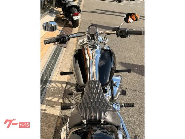 HARLEY-DAVIDSON FXBR 2025 — миниатюра 5