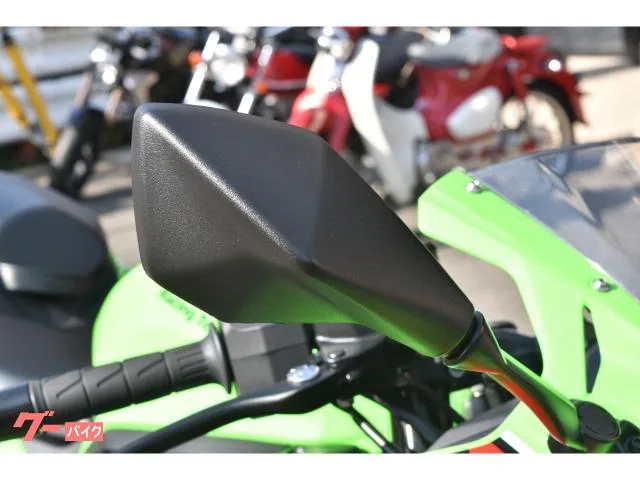 Kawasaki Ninja ZX-4RR KRT EDITION 2024 — миниатюра 2