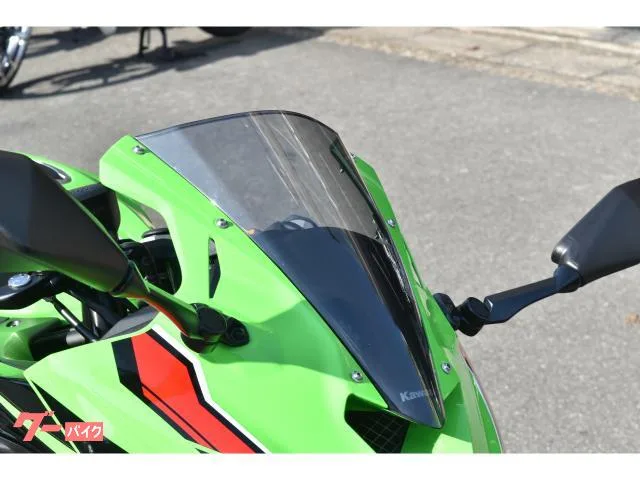Kawasaki Ninja ZX-4RR KRT EDITION 2024 — миниатюра 5