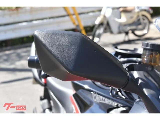 Kawasaki Ninja 1000 SX 40th Anniversary Edition 2024 — миниатюра 2