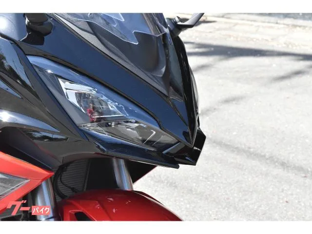 Kawasaki Ninja 1000 SX 40th Anniversary Edition 2024 — миниатюра 3
