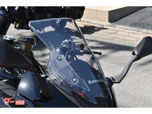 Kawasaki Ninja 1000 SX 40th Anniversary Edition 2024 — миниатюра 5