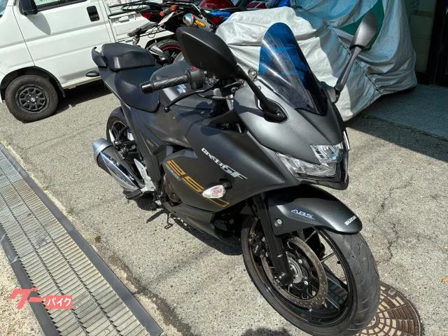 Suzuki GIXXER SF 250 2022 — миниатюра 2