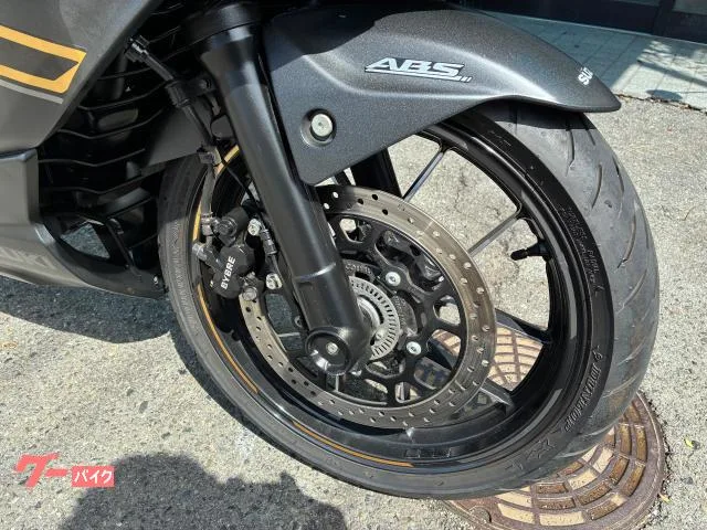Suzuki GIXXER SF 250 2022 — миниатюра 3