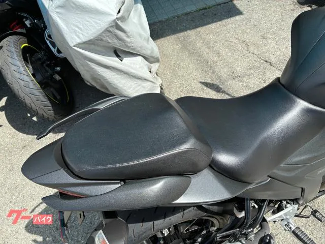 Suzuki GIXXER SF 250 2022 — миниатюра 5