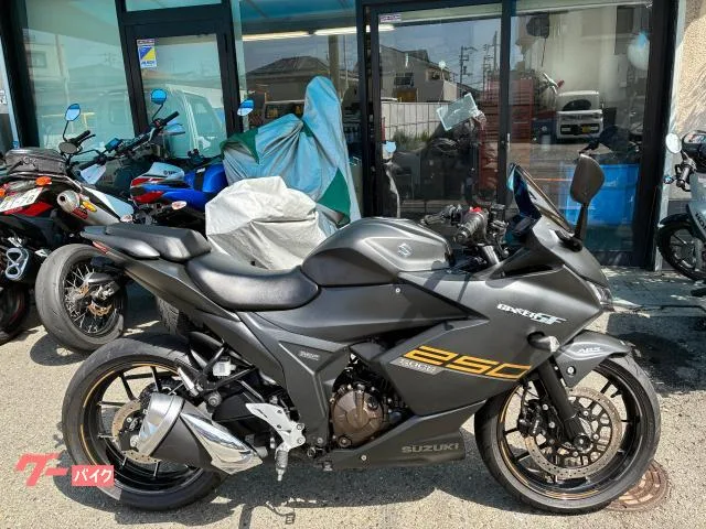 Suzuki GIXXER SF 250 2022 — фото 1, купить с доставкой в Москву