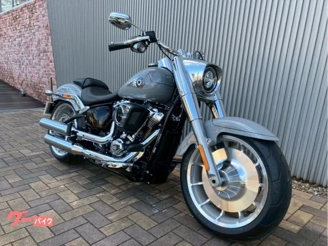 HARLEY-DAVIDSON FLFB 117 2025 — миниатюра 2