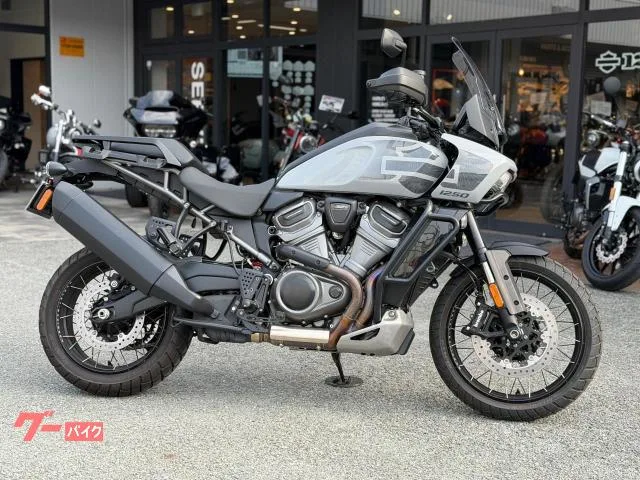 HARLEY-DAVIDSON 1250 ETC 2024 — миниатюра 2