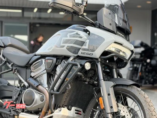 HARLEY-DAVIDSON 1250 ETC 2024 — миниатюра 5