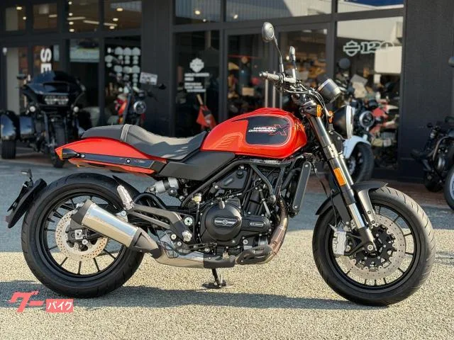 HARLEY-DAVIDSON X500 2024 — миниатюра 2