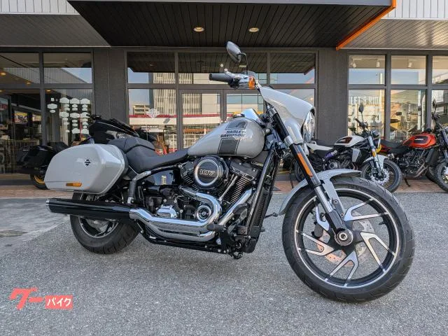 HARLEY-DAVIDSON FLSB 2024 — фото 1, купить с доставкой в Москву