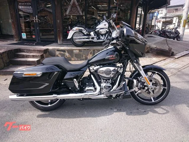 HARLEY-DAVIDSON FLHX 2024 — фото 1, купить с доставкой в Москву