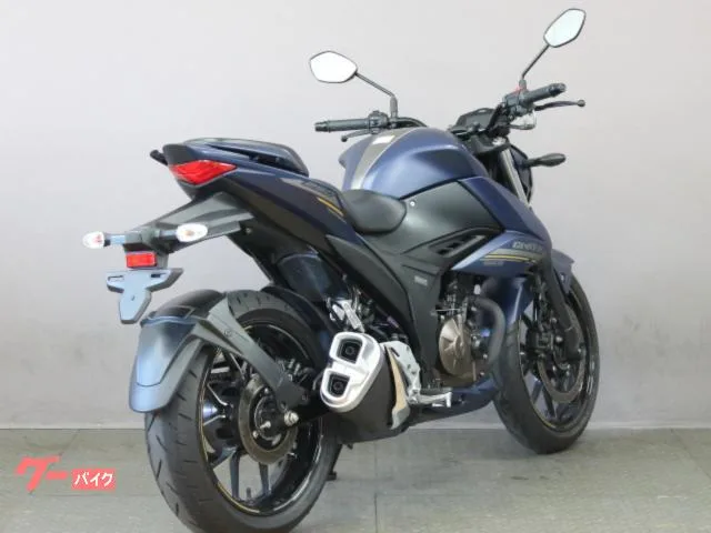 Suzuki GIXXER 250 2023 — миниатюра 5