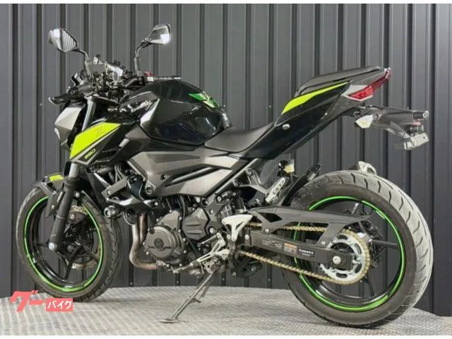 Kawasaki Z250 ETC2.0 2022 — миниатюра 3