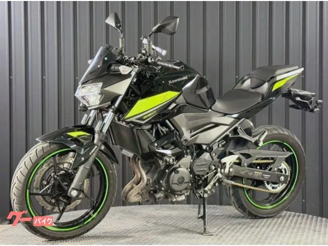 Kawasaki Z250 ETC2.0 2022 — миниатюра 4