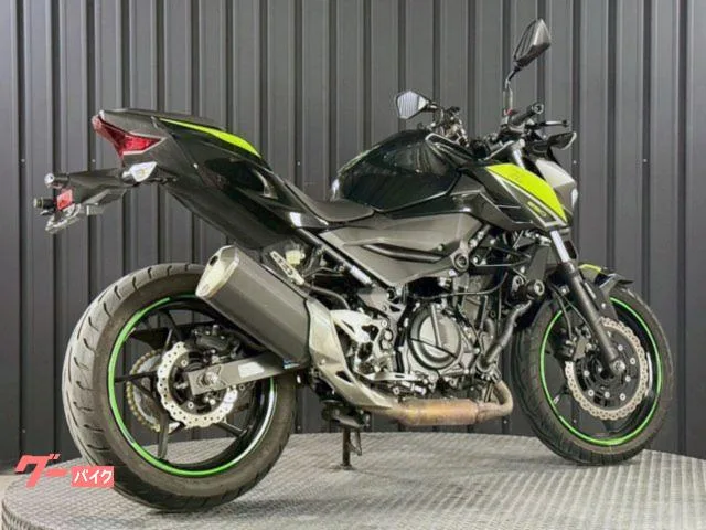 Kawasaki Z250 ETC2.0 2022 — миниатюра 5