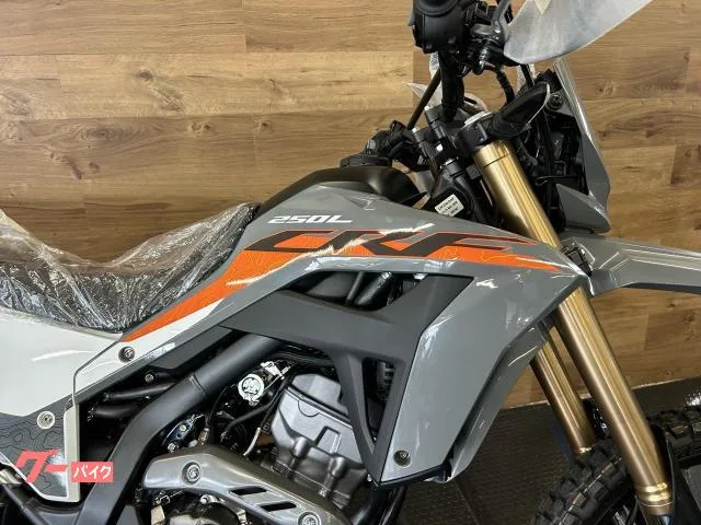 Honda CRF250L 2 2024 — миниатюра 5
