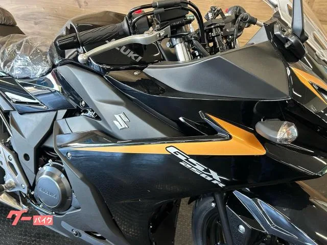 Suzuki GSX250R 2025 — миниатюра 5