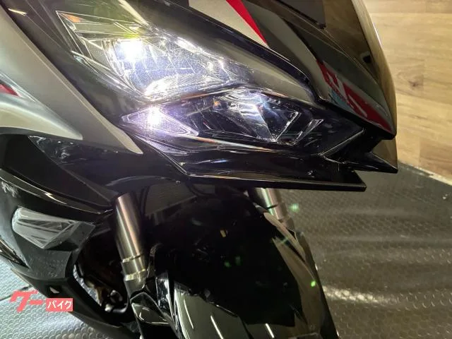 Kawasaki Ninja 1000 SX ETC/ 2024 — миниатюра 3