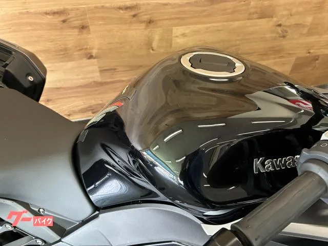 Kawasaki Ninja 1000 SX ETC/ 2024 — миниатюра 4