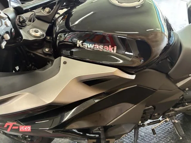 Kawasaki Ninja 1000 SX ETC/ 2024 — миниатюра 5
