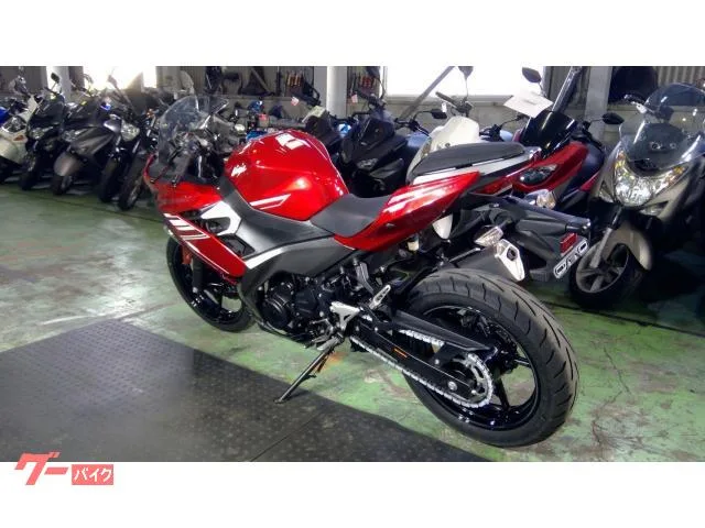 Kawasaki Ninja 250 EX250P ABS 2022 — миниатюра 3