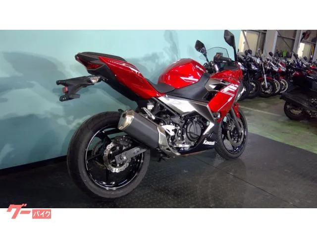Kawasaki Ninja 250 EX250P ABS 2022 — миниатюра 4