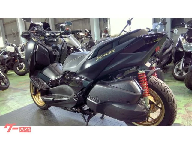 Yamaha X-MAX250 SG70J 2022 — миниатюра 4