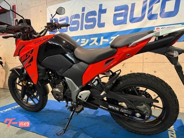 Suzuki V- 250SX 2024 — миниатюра 4