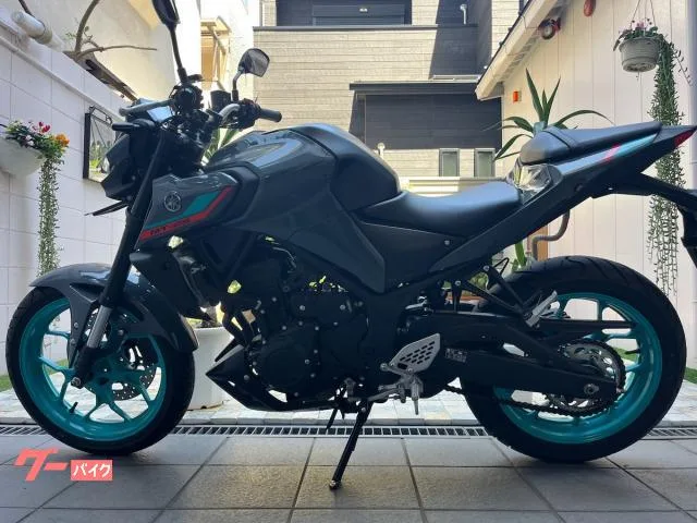 Yamaha MT-25 ETC 2022 2022 — миниатюра 3