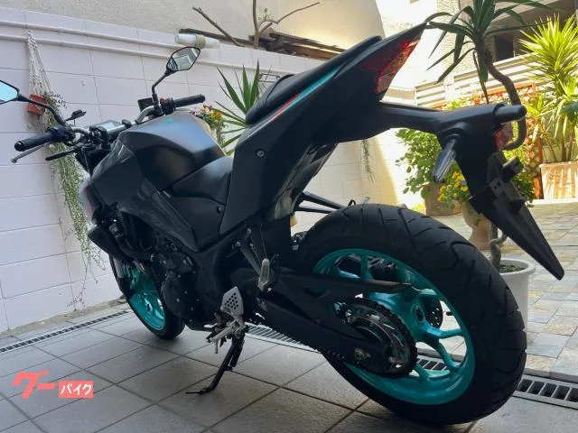 Yamaha MT-25 ETC 2022 2022 — миниатюра 5