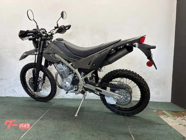 Kawasaki KLX230 4 2025 — миниатюра 4