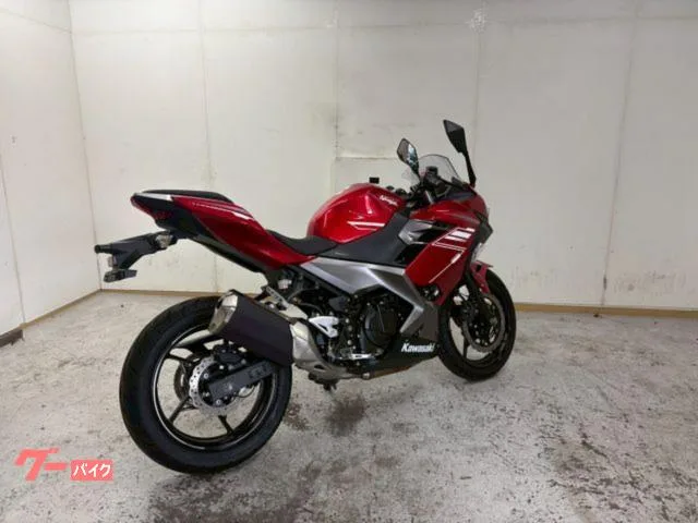 Kawasaki Ninja 250 2022 — миниатюра 2