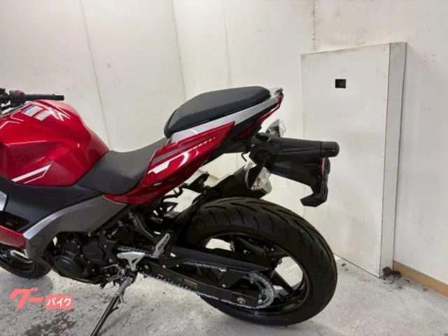 Kawasaki Ninja 250 2022 — миниатюра 3